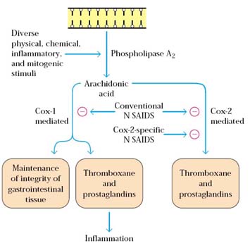 Corticosteroids side effects medscape